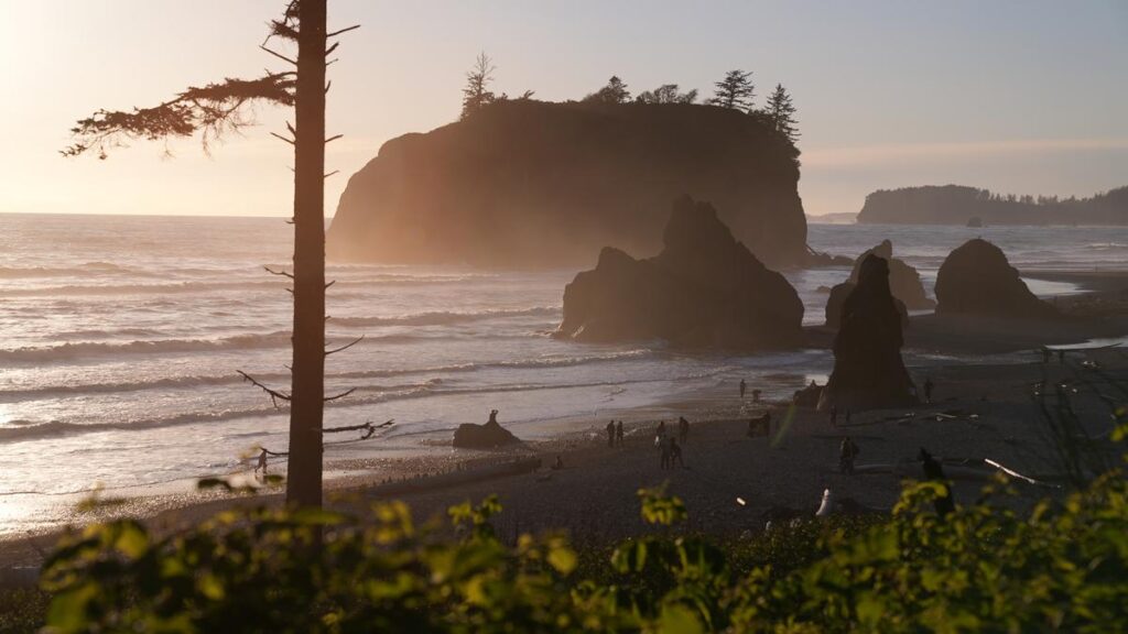 Olympic National Park, Washington, USA at Ruby Beach with piles of deadwood and sunset