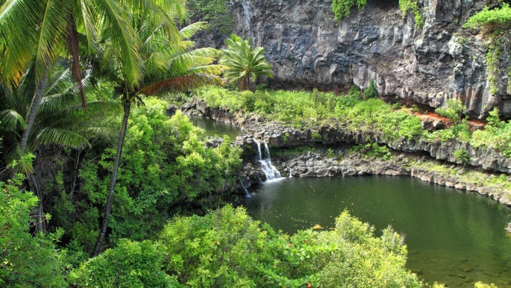 The dramatic jungle scenery at Hawaii's Pools of Oheo